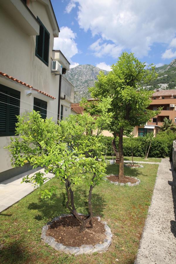 Apartmani Dijana 2 コトル エクステリア 写真